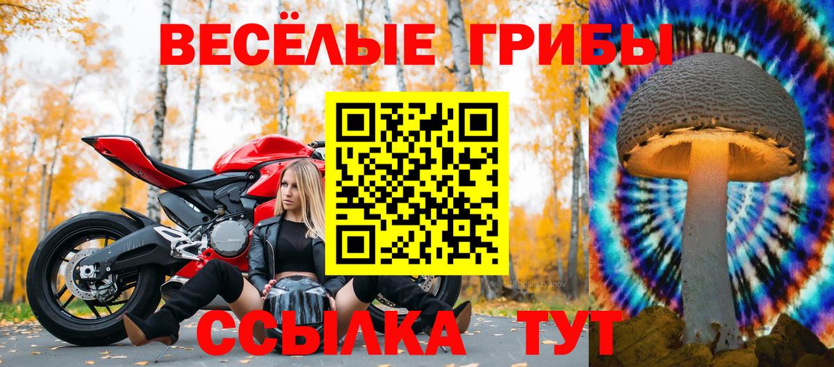 Псилоцибиновые грибы ЛСД Домодедово