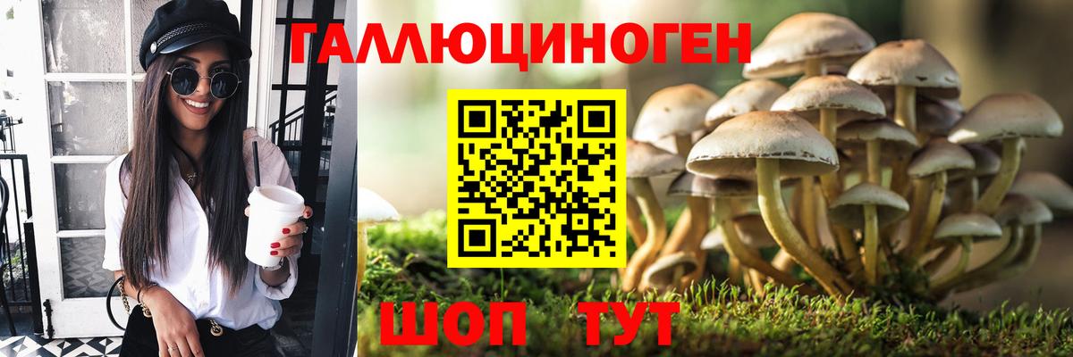 Псилоцибиновые грибы MAGIC MUSHROOMS  купить  цена  Домодедово  Вход с VPN  Псилоцибиновые грибы Magic Shrooms 